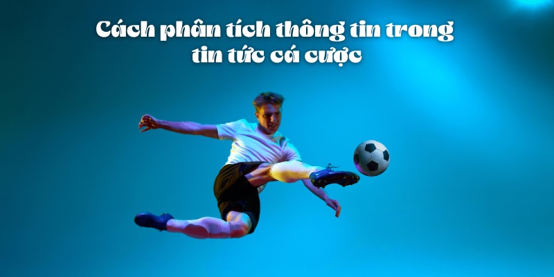 Cách Đọc Tin Tức Cá Cược Hiệu Quả Và Chính Xác Cùng 11bet 5 Cách phân tích thông tin trong tin tức cá cược
