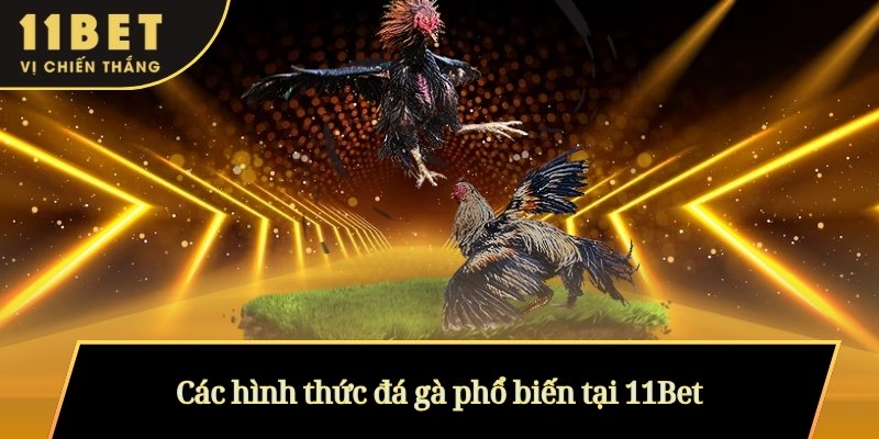 Các hình thức đá gà phổ biến tại 11Bet